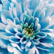 Mediumonline.be - online medium Trudy